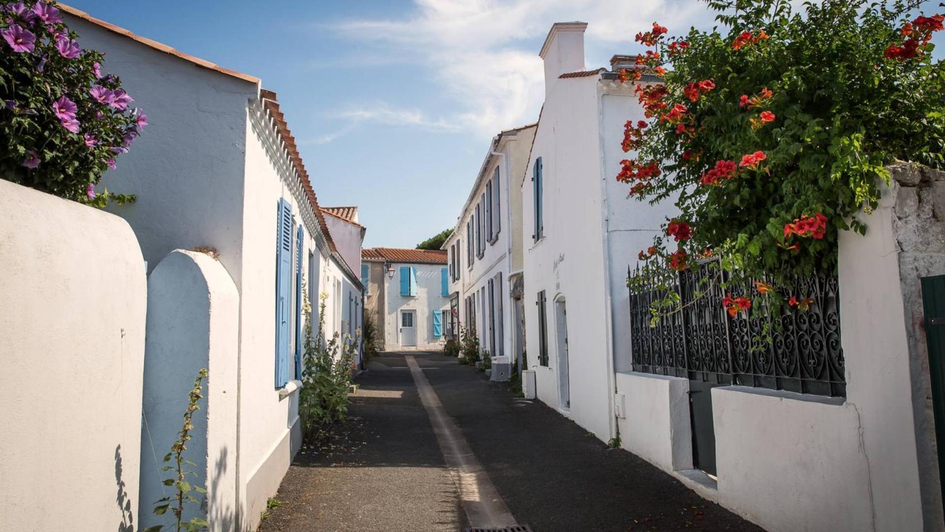 Le Boisvinet Villa Saint Gilles Croix de vie Eksteriør billede
